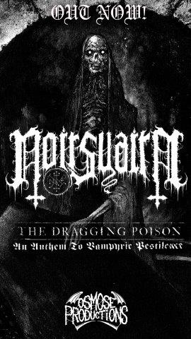 11.1.2026 News NOIRSUAIRE