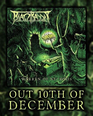 16.11.2025News Black Rabbit