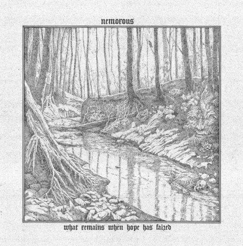 19.10.2025News NEMOROUS