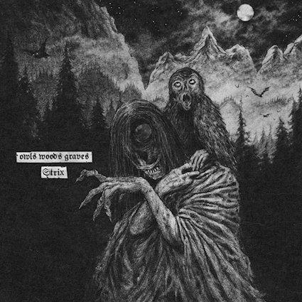 19.10.2025News Owls Woods Graves