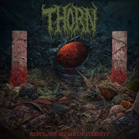 2.5.2025 News THORN