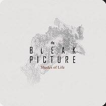 23.5.2025 News The Bleak Picture