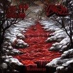 29.8.2026 News Bloodsurge