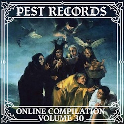 3.10.2026 News Pest Records