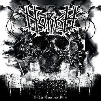 31.10.2025Review Norkh HAMMER