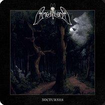 5.4.2026 News Angellore