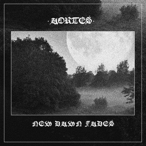5.7.2025 News AORTES