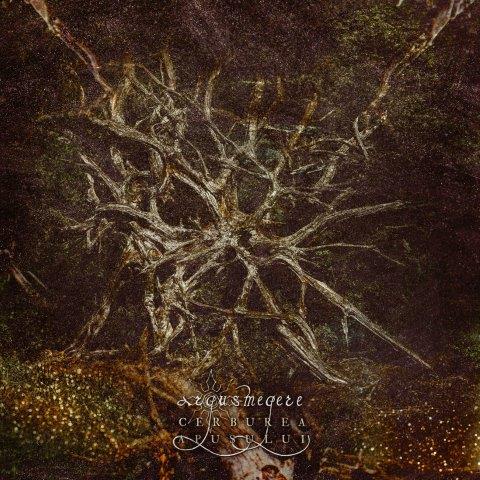 9.11.2025News ARGUS MEGERE