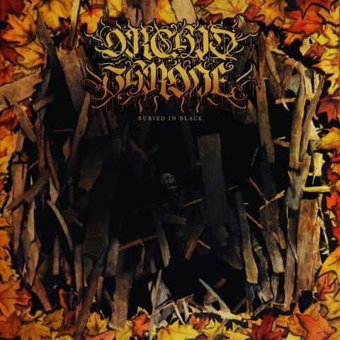 9.11.2025News ORCHID THRONE