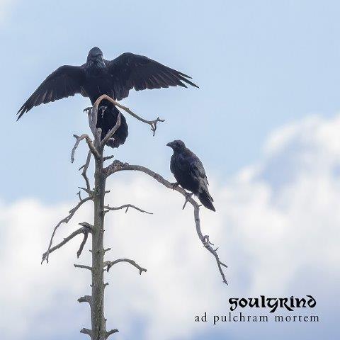9.8.2025News Soulgrind